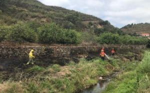 Meios pré-posicionados na Senhora do Verde resolvem incêndio na zona do Moinho da Rocha em 20 minutos