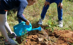 Plantações na Casa João Lúcio  para assinalar Dia Mundial da Árvore