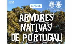 EXPOSIÇÃO DAS ÁRVORES NATIVAS DE PORTUGAL PODE SER VISITADA NA BAIXA DE FARO