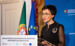 LINHA DE CRÉDITO SUPERIOR A 300 MILHÕES PARA IMPULSIONAR AGRICULTURA