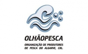 Armadores do cerco do Algarve ameaçam parar até definição de regras da venda do pescado