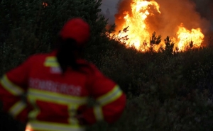 Incêndios: Fogo florestal em Loulé dominado pelas 21:40 – proteção civil