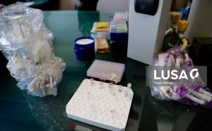 Fundação Champalimaud e ABC fazem testes serológicos na região do Algarve