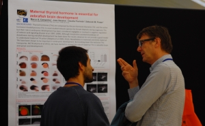 Investigador do CCMAR vence prémio para melhor apresentação oral