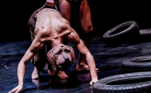 Poeta Al Berto é revisitado em «Noite», espetáculo de dança no Cine-Teatro Louletano