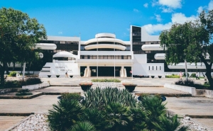 ALBUFEIRA ASSINALA DIA INTERNACIONAL PARA A ELIMINAÇÃO DA VIOLÊNCIA CONTRA AS MULHERES