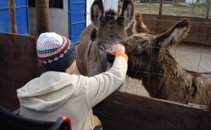Dia Internacional da Pessoa com Deficiência dá o mote para atividades inclusivas em Portimão