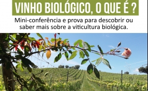 PROVA DE VINHO BIOLÓGICO MARCA INÍCIO DA CELEBRAÇÃO DO SÃO MARTINHO NA QUINTA DO PERAL