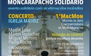 Artistas pelas vítimas dos incêndios