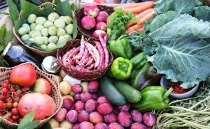 Rede de Produtores Locais do Algarve