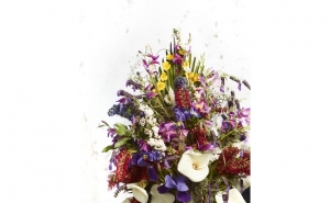 Exposição de fotografia Tochas |  Vasco Célio