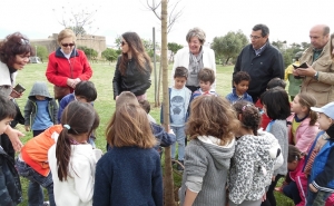 Dia Mundial da Árvore assinalado em Lagos