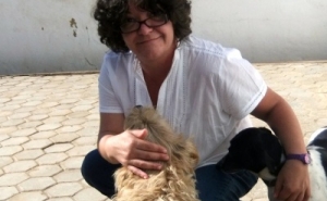 BE | Dois cães com alguma sorte