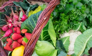 Abertas candidaturas para vender no Mercado de Produtores de Almancil