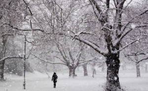 Possível queda de neve em Monchique durante o fim-de-semana