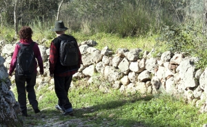 Ambiente, livros e viagens inspiram percursos empreendedores e dão o mote para a Beta Talk de novembro