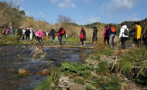 Amendoeiras em Flor reúnem cerca de 500 participantes em passeio pedestre 