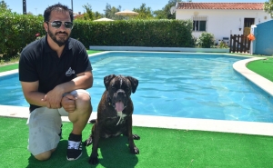 Algarve ganha nova escola de treino canino 