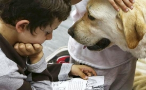 Projetos «L.E.R. Cãofiante» e «Cão Petencias para a vida» são destaque em Grande Reportagem Da SIC 