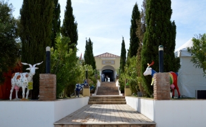 Terra de Maio promove sabores e saberes de Castro Marim