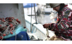 Mar 2020 aprova apoios para pescadores e armadores para atenuar efeitos da Covid-19