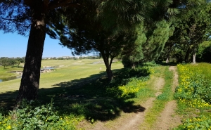 VILAMOURA NATURE RUN PROMETE ANIMAR SÁBADO DE PÁSCOA