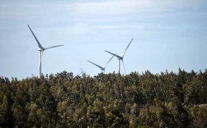 Produção renovável abastece 59% do consumo de eletricidade em 2021	