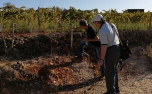 VISITA JORNALISTAS DA FIJEV À REGIÃO VITIVINÍCOLA DO ALGARVE