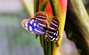 Biblioteca Municipal de Olhão apresenta exposição de fotografia “Olhares”