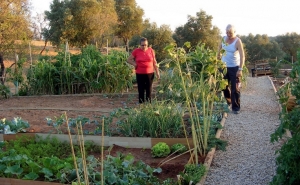 WORKSHOP «INTRODUÇÃO À APICULTURA NATURAL» NAS HORTAS SOCIAIS DE LOULÉ