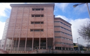 VIOLÊNCIA DOMÉSTICA E TENTATIVA DE HOMICÍDIO