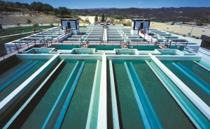 Estão abertas inscrições para a Ciência Viva no Verão em Rede