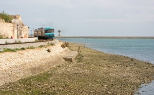 Circulação ferroviária entre Olhão e Faro interrompida devido a atropelamento