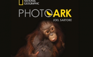PHOTO ARK DE JOEL SARTORE: EXPOSIÇÃO COM SELO DA NATIONAL GEOGRAPHIC EM VILAMOURA