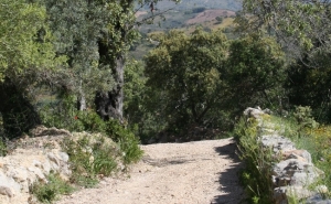 Mesquita recebe com alegria Marcha/Corrida de Carnaval 