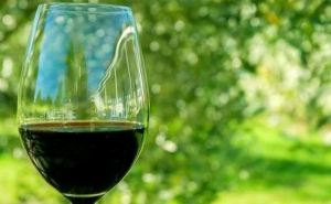 GOVERNO APOIA SETOR DO VINHO COM 65 MILHÕES DE EUROS