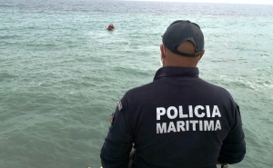Migrações: Existência de rota para o Algarve está em investigação