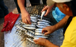 FESTAS DO FRANGO, DA SARDINHA E DA TERRA E DO PETISCO ANIMAM O PALADAR DE AGOSTO EM ALBUFEIRA 