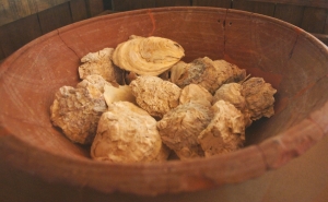 Demonstração culinária “Cascabulhos, conquilhas e berbigão”