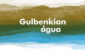 Fundação Calouste Gulbenkian apoia projetos agrícolas  que promovam a gestão sustentável da água e do solo 