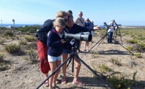 Festival de Observação de Aves & Atividades de Natureza chega aos quatro cantos do mundo