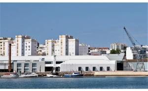 Primeira Conferência Ibérica sobre Gestão do Desporto realiza-se em Portimão