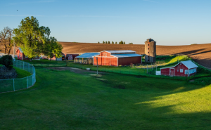 Imóveis e terrenos agrícolas despertam interesse de investidores