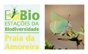 ALJEZUR INAUGURA ESTAÇÃO DE BIODIVERSIDADE DA PRAIA DA AMOREIRA
