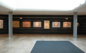 Biblioteca de Olhão assinala Dia Mundial  dos Oceanos com exposição Sea Change