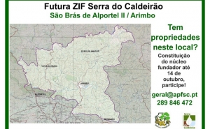 São Brás de Alportel avança para constituição de duas novas Zonas de Intervenção Florestal