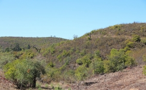 Executivo municipal são-brasense aprova moção de defesa da construção de novas barragens no Algarve