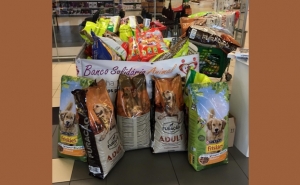 Banco Solidário Animal assinala 20ª campanha