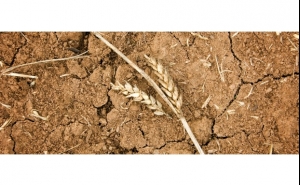 Sabe que países terão falta de água em 2040?