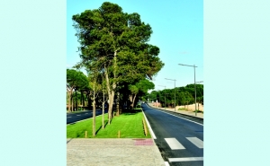 AVENIDA DO ATLÂNTICO EM QUARTEIRA VAI SER INAUGURADA COM A PRESENÇA DE SECRETÁRIO DE ESTADO